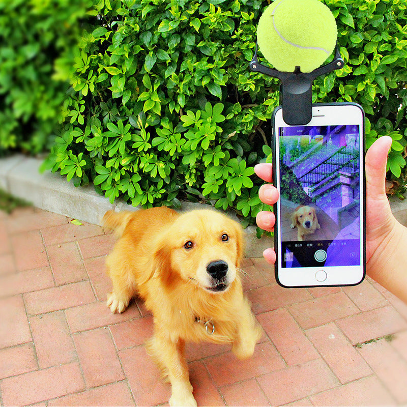 Pawvlog Capture Clip - perfect pet selfies and POV clips