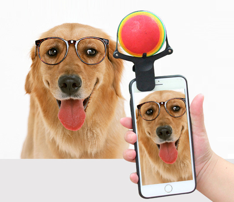 Pawvlog Capture Clip - grabs your pet's attention on camera