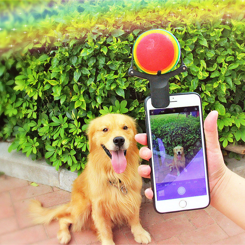 Pawvlog Capture Clip - dog looking at phone camera for a selfie