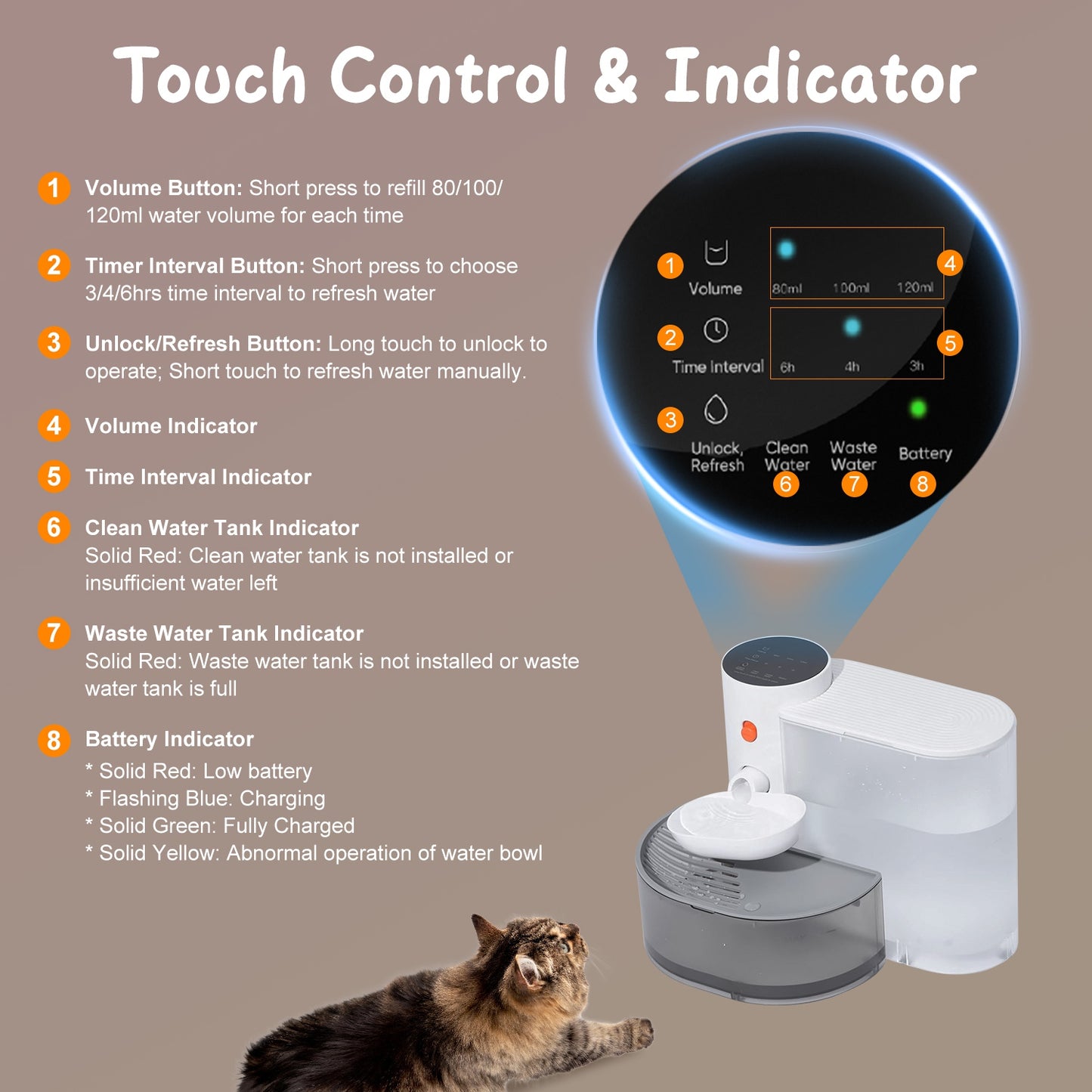 Pawvlog Smart Water Fountain - cat and dog drinking