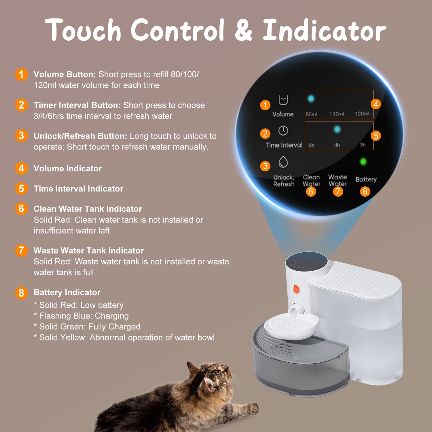 Pawvlog Smart Water Fountain - cat and dog drinking