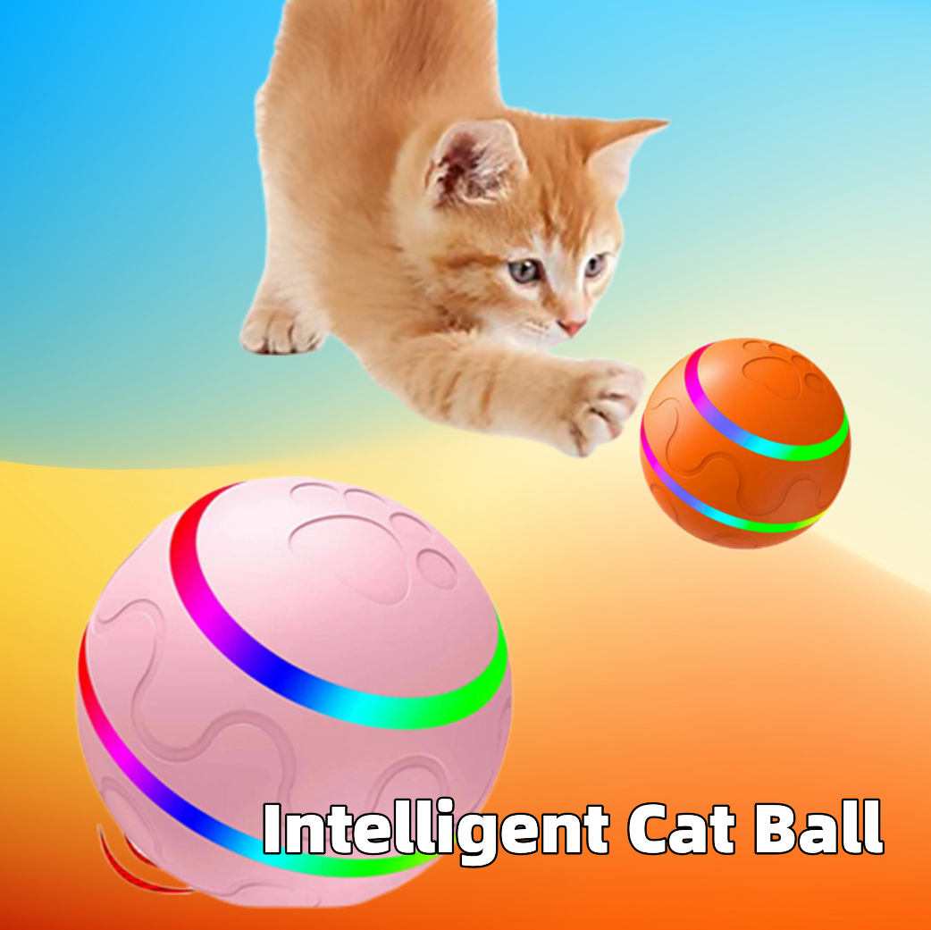 Pawvlog Wicked Ball - features